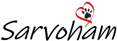 Rescue Management System